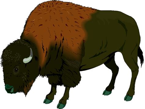 buffalo clip art